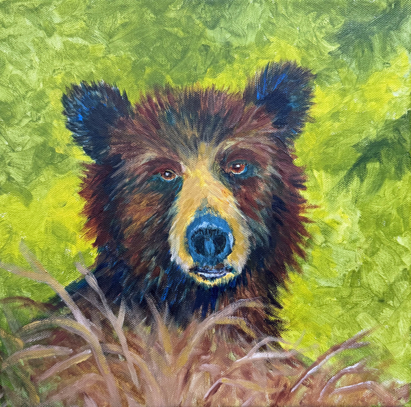 Black Bear 2025
